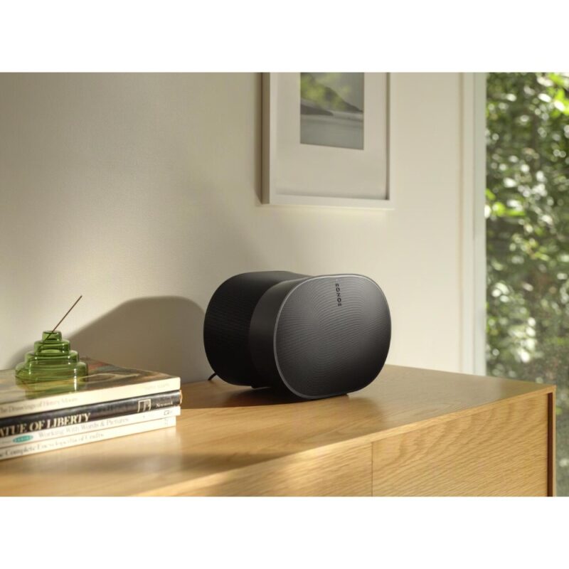 Enceinte sans fil (Bluetooth) Era 300 - Noir